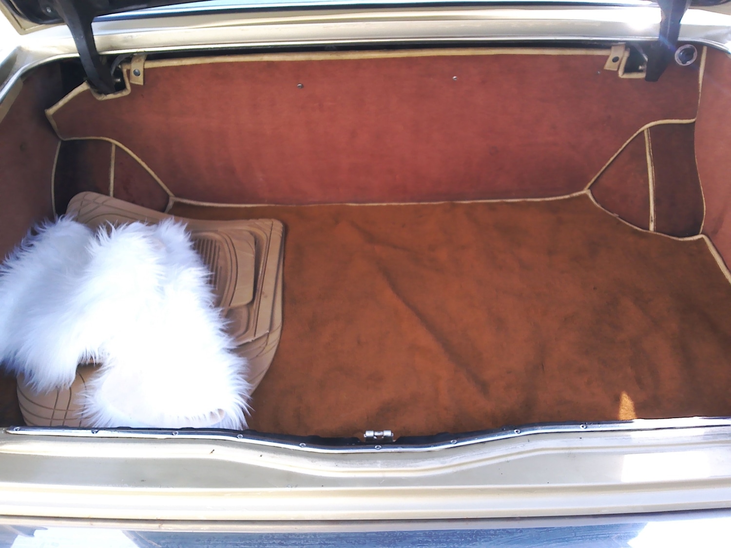 Used Rolls-Royce Silver Spirit 1981 for sale - 77947341: Photo 14