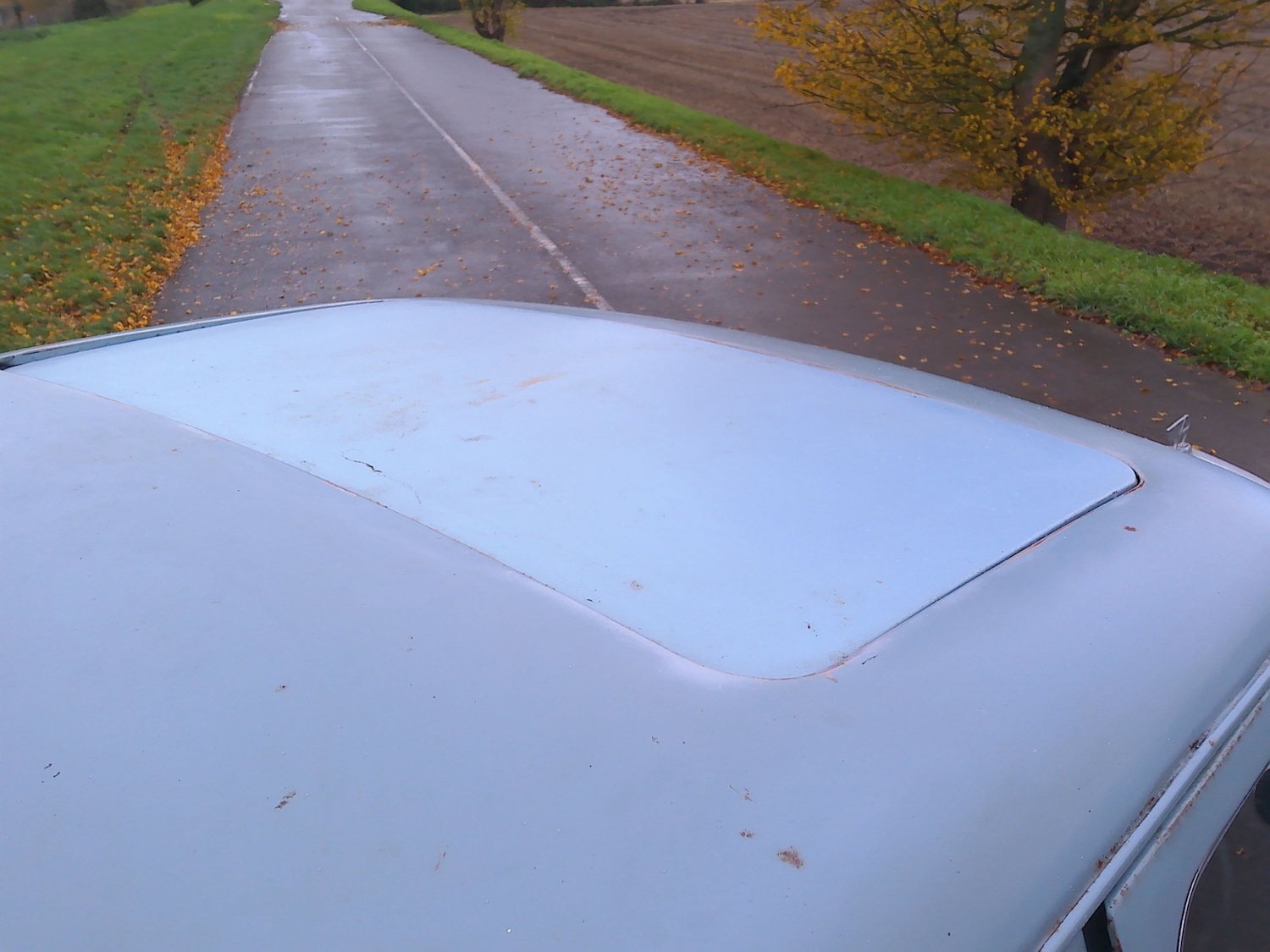 Used Austin A50 1955 for sale - 76541770: Photo 12