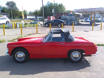 Used Austin Healey 1965 for sale - 75904400: Photo