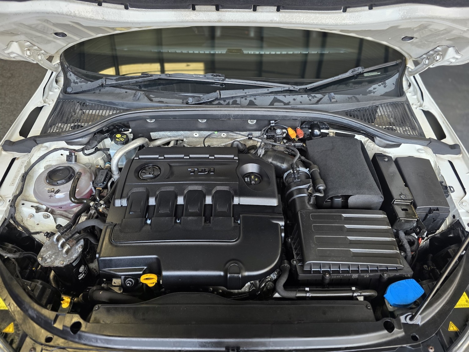 Used Skoda Octavia 2013 for sale - 77891638: Photo 19