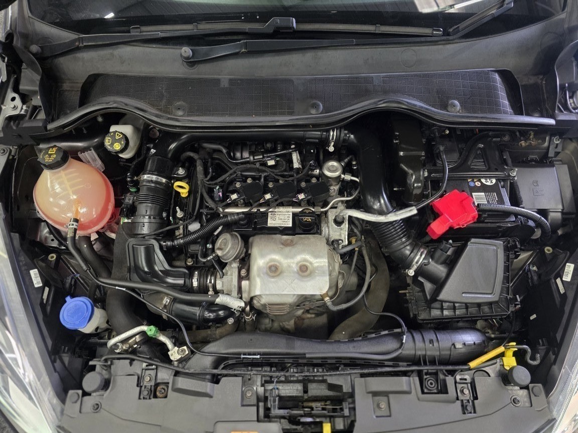 Used Ford Fiesta 2017 for sale - 77991799: Photo 19