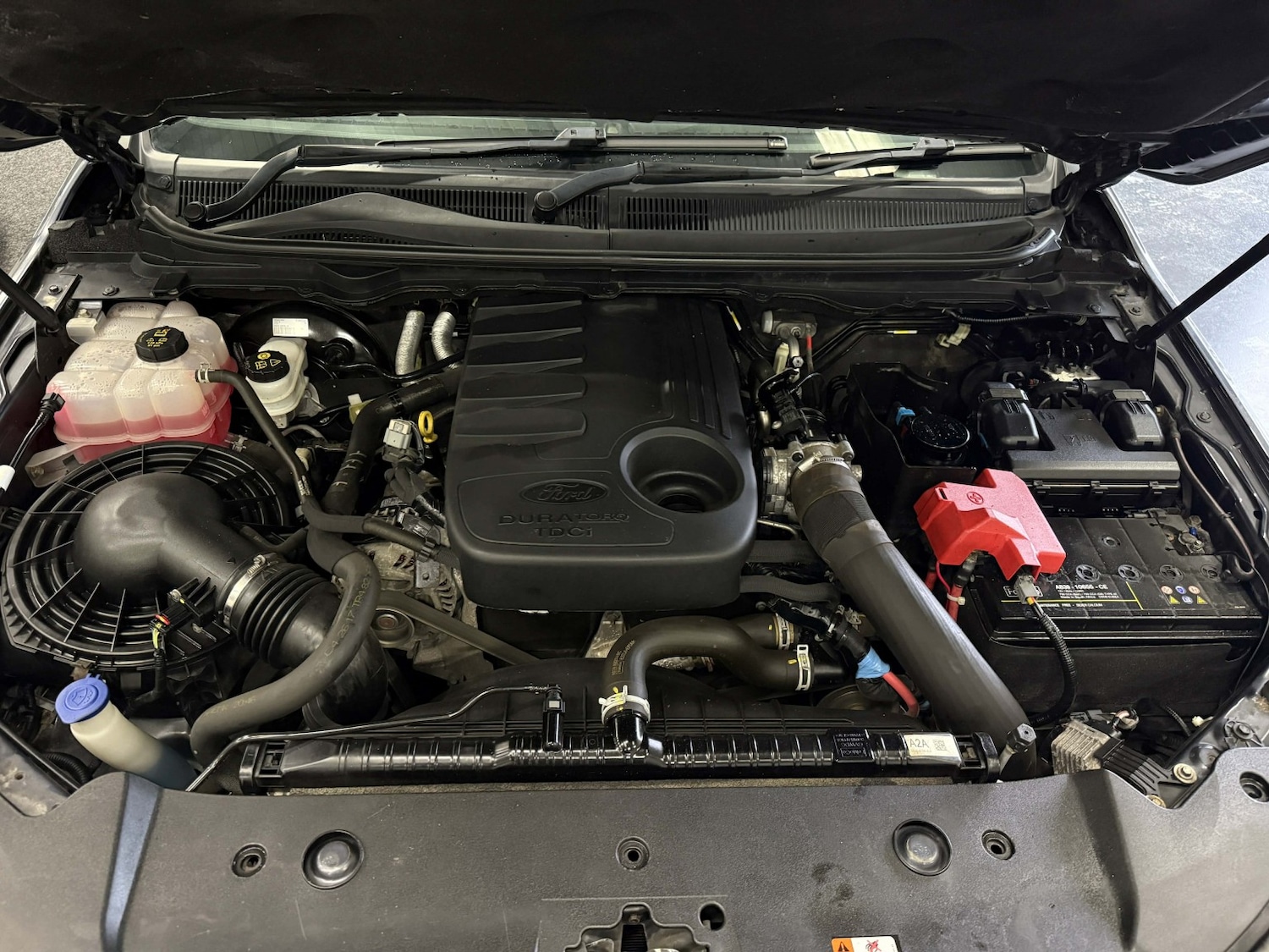 Used Ford Ranger 2017 for sale - 77694182: Photo 20