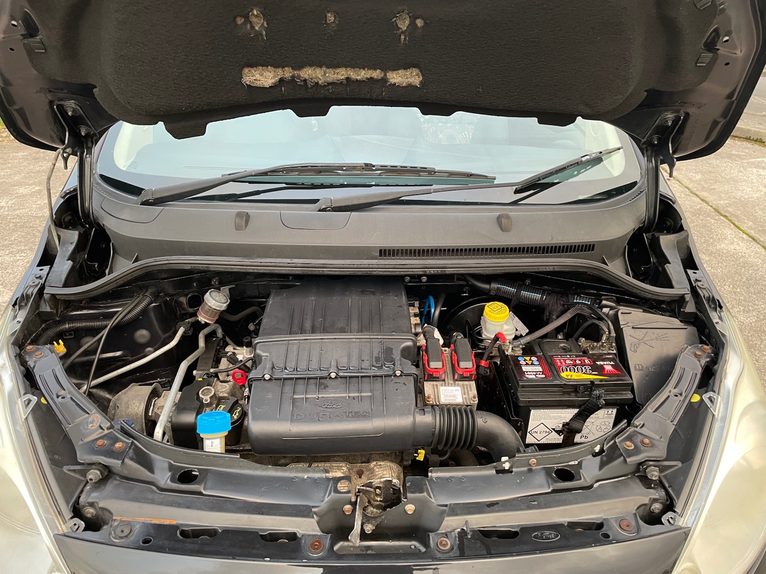 Used Ford Ka 2010 for sale - 75451056: Photo 17