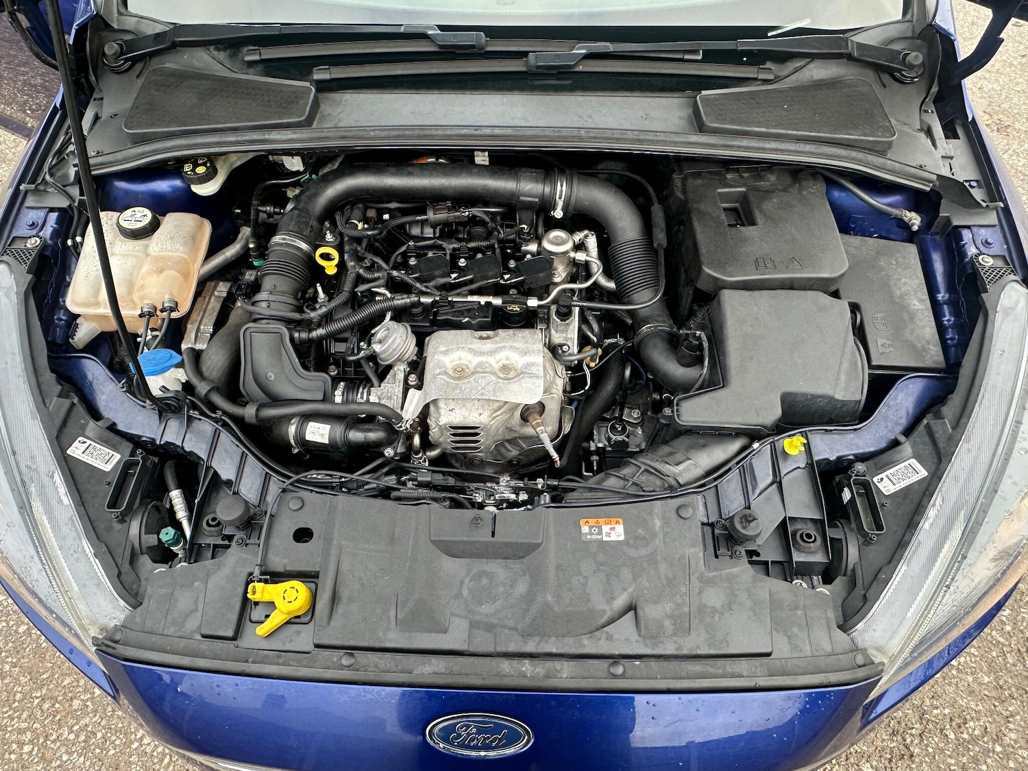 Used Ford Focus for sale - 76727989: Photo 27