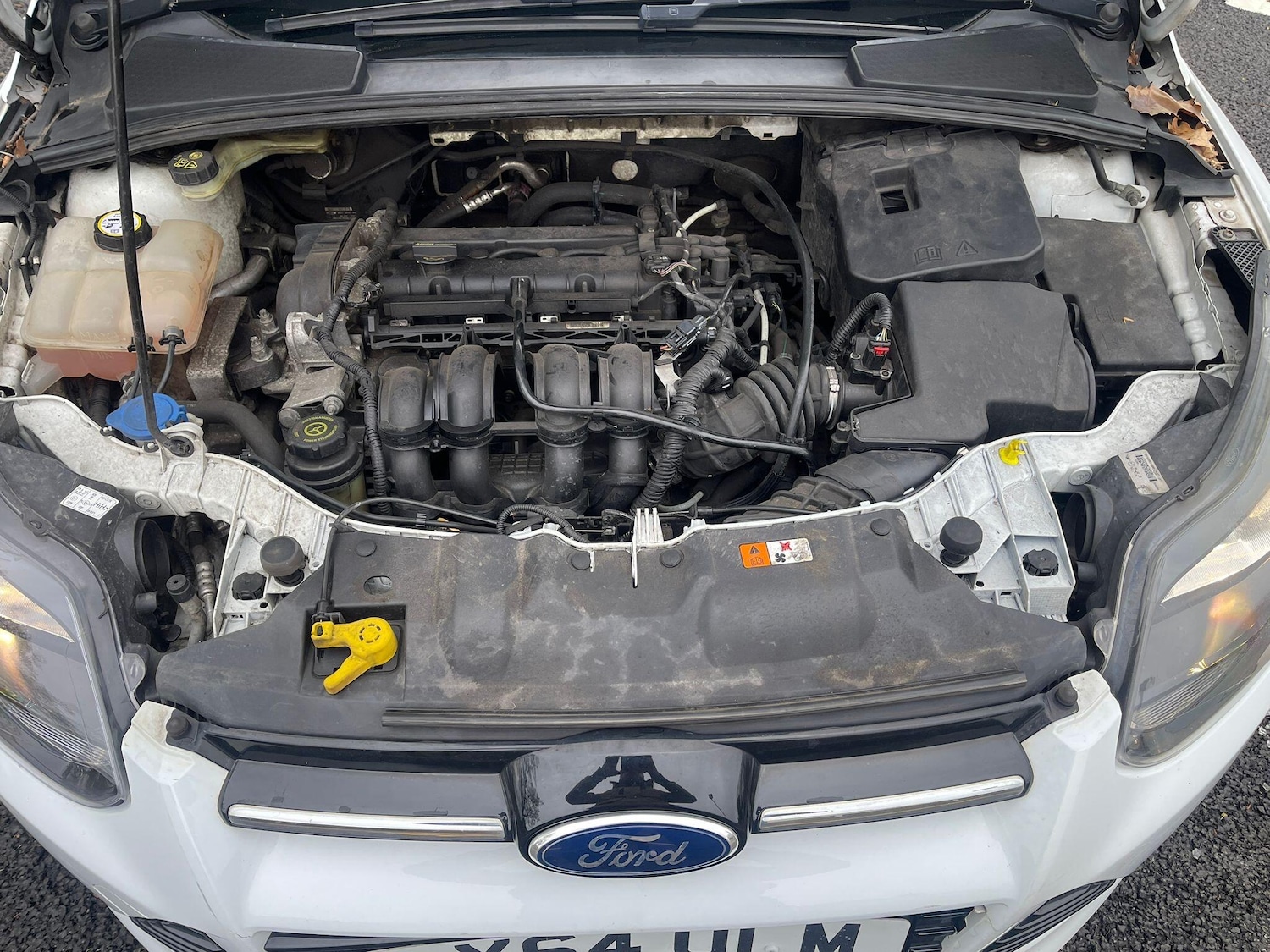 Used Ford Focus for sale - 78135536: Photo 26