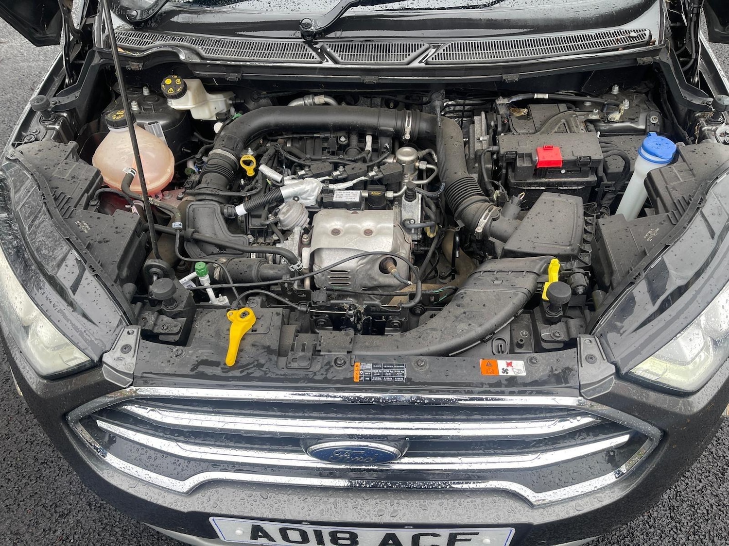 Used Ford Ecosport 2018 for sale - 78073989: Photo 31