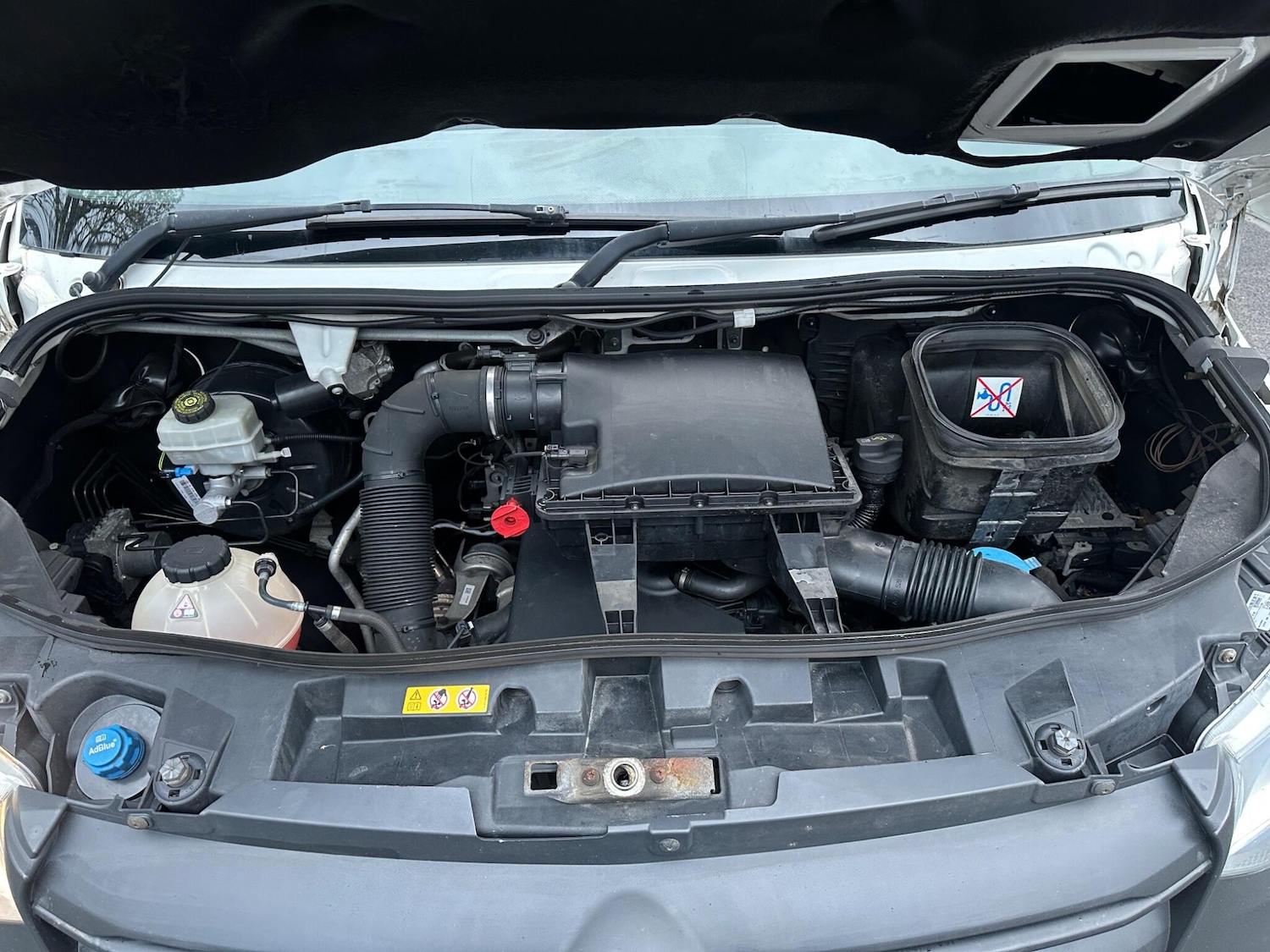 Used Mercedes-Benz Sprinter 2019 for sale - 78006473: Photo 23