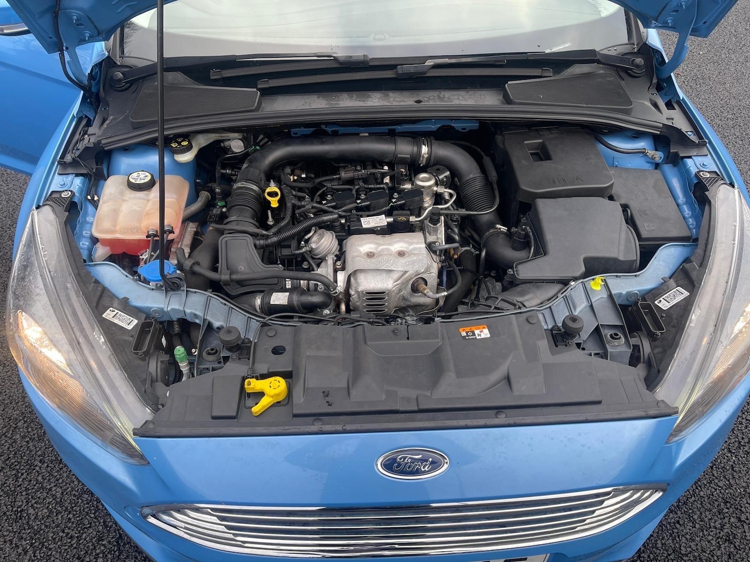 Used Ford Focus 2017 for sale - 77057290: Photo 30