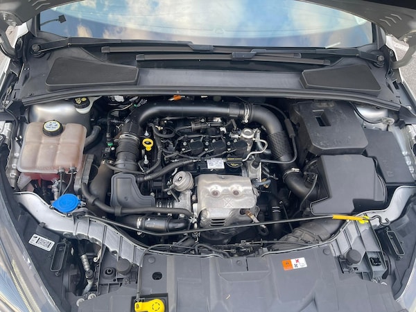 Used Ford Focus 2016 for sale - 76260328: Photo 30