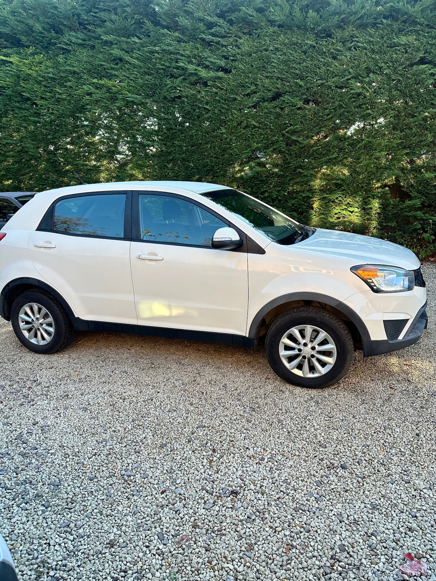 Used Ssangyong Korando 2015 for sale - 76640982: Photo 12