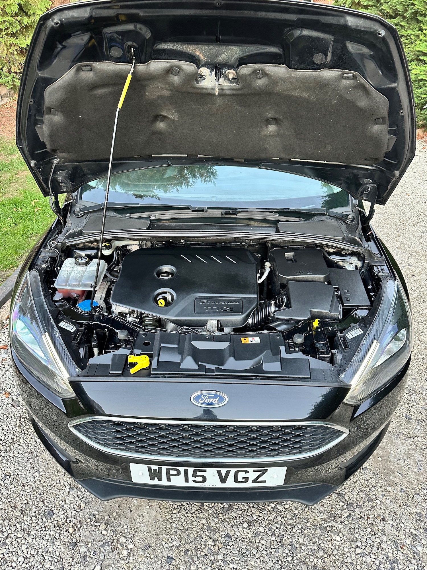 Vehicle 37