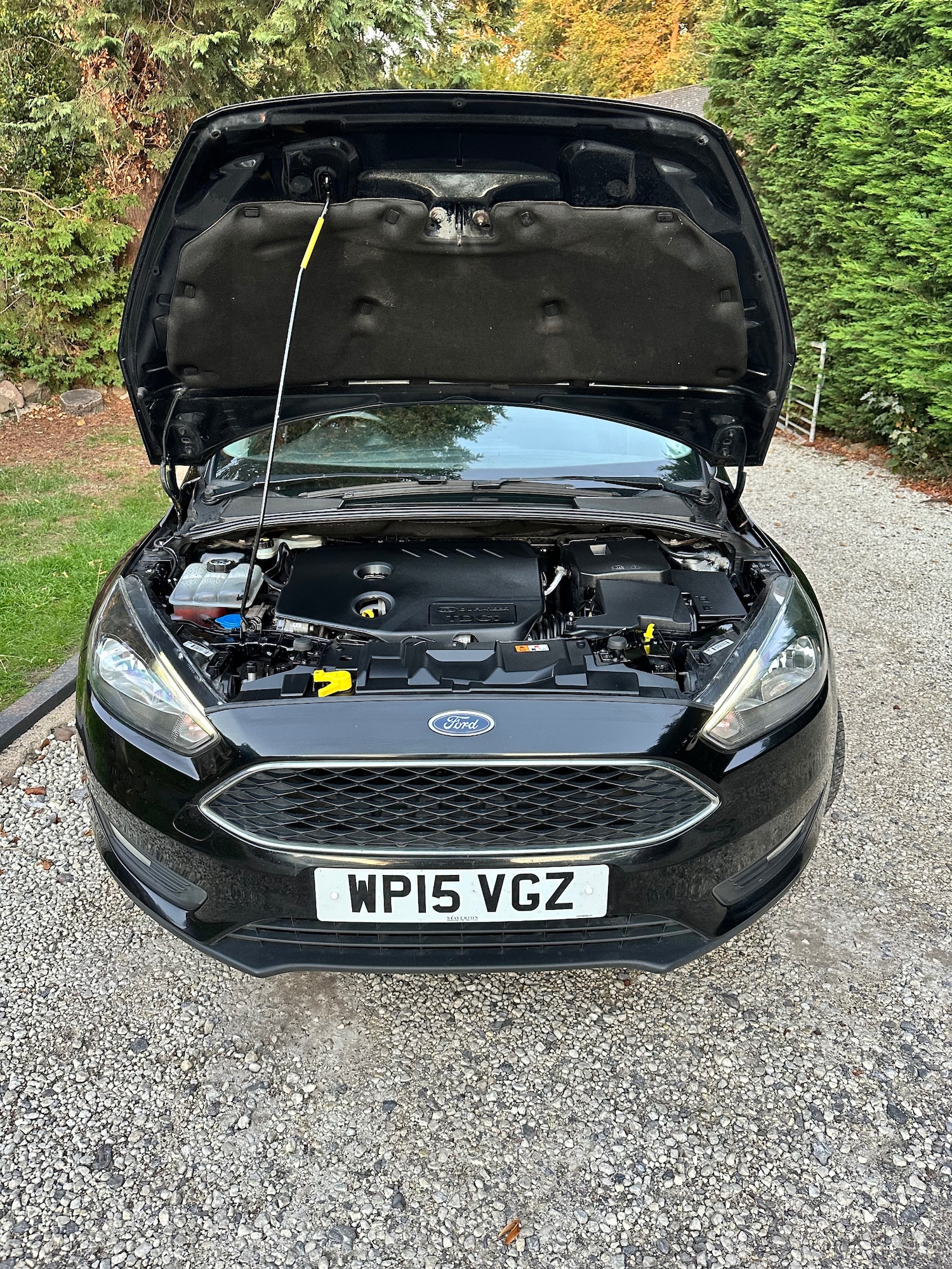 Vehicle 38