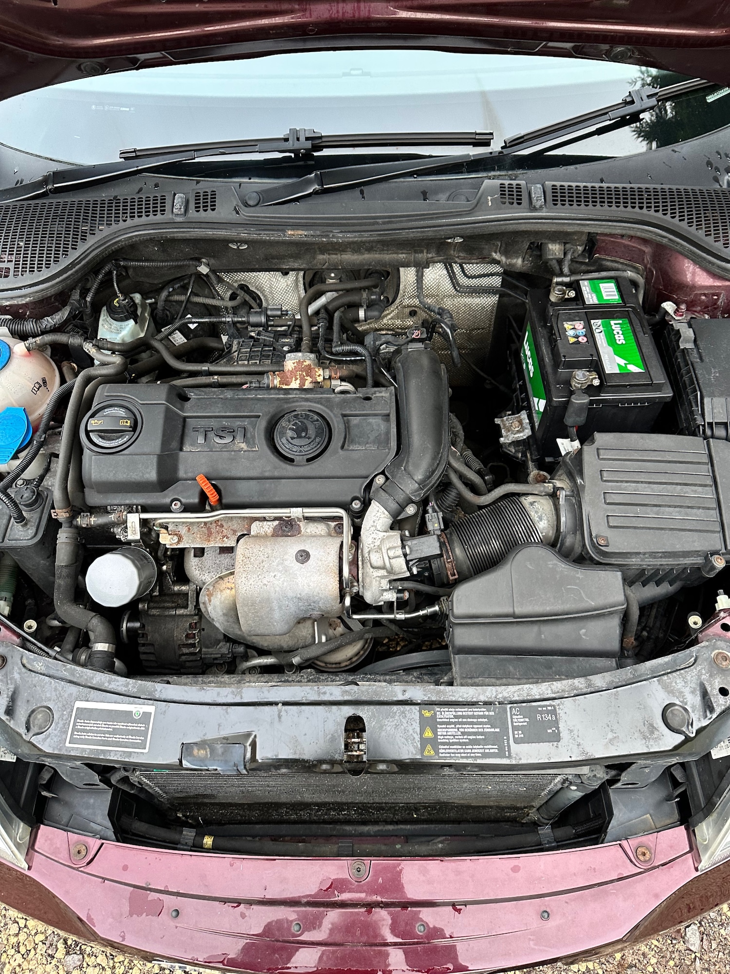 Used Skoda Octavia 2010 for sale - 77005633: Photo 41