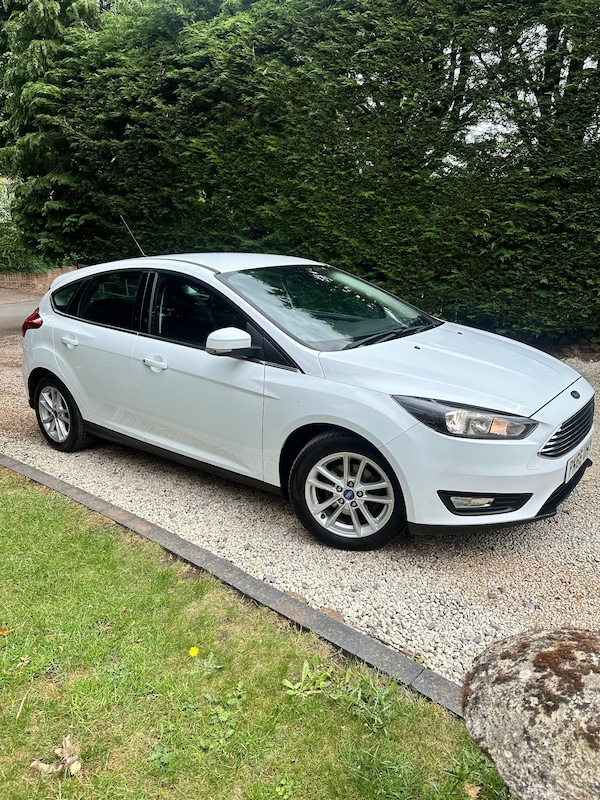 Used Ford Focus 2016 for sale - 74891310: Photo 10