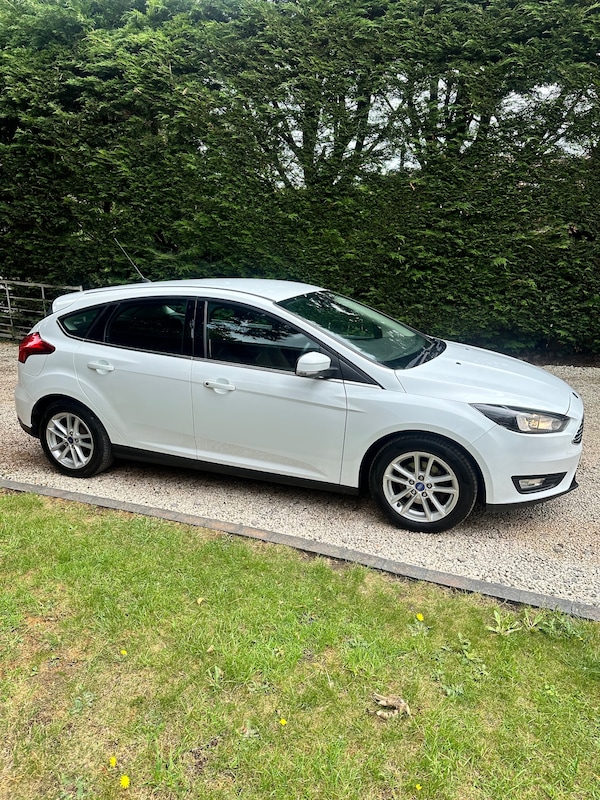 Used Ford Focus 2016 for sale - 74891310: Photo 11