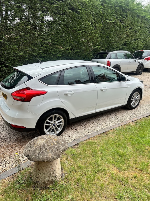 Used Ford Focus 2016 for sale - 74891310: Photo 12