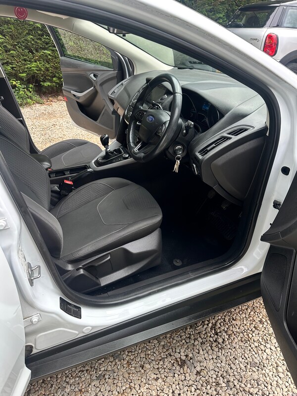 Used Ford Focus 2016 for sale - 74891310: Photo 13