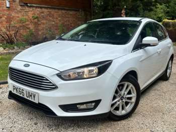 Used Ford Focus 2016 for sale - 74891310: Photo