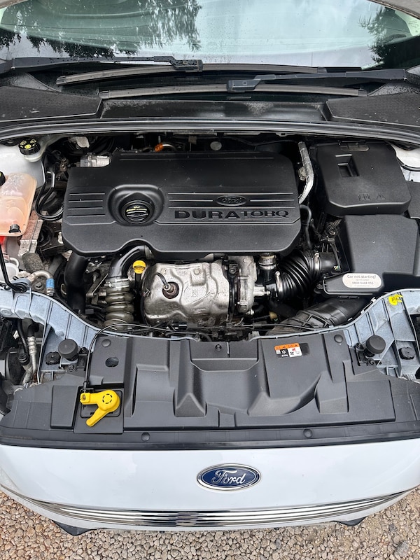 Used Ford Focus 2016 for sale - 74891310: Photo 27