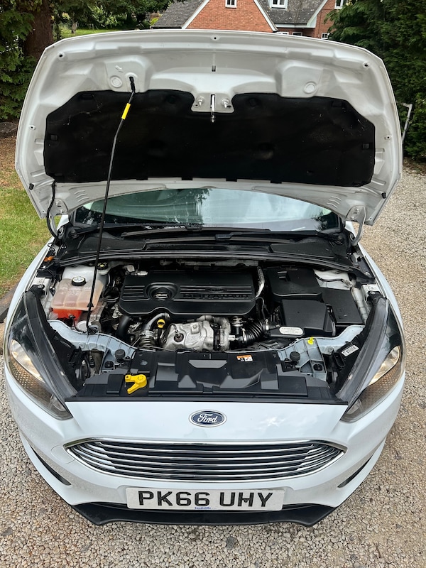 Used Ford Focus 2016 for sale - 74891310: Photo 28