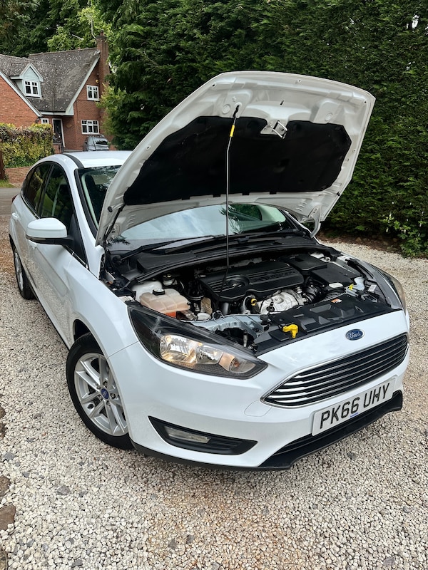 Used Ford Focus 2016 for sale - 74891310: Photo 29