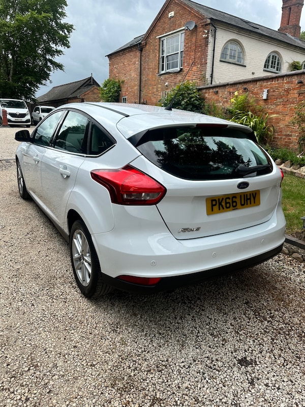 Used Ford Focus 2016 for sale - 74891310: Photo 6
