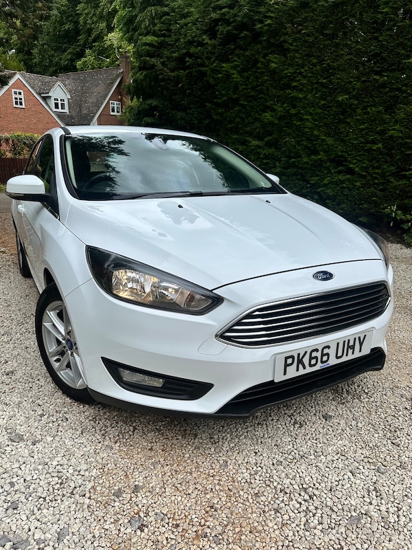 Used Ford Focus 2016 for sale - 74891310: Photo 8