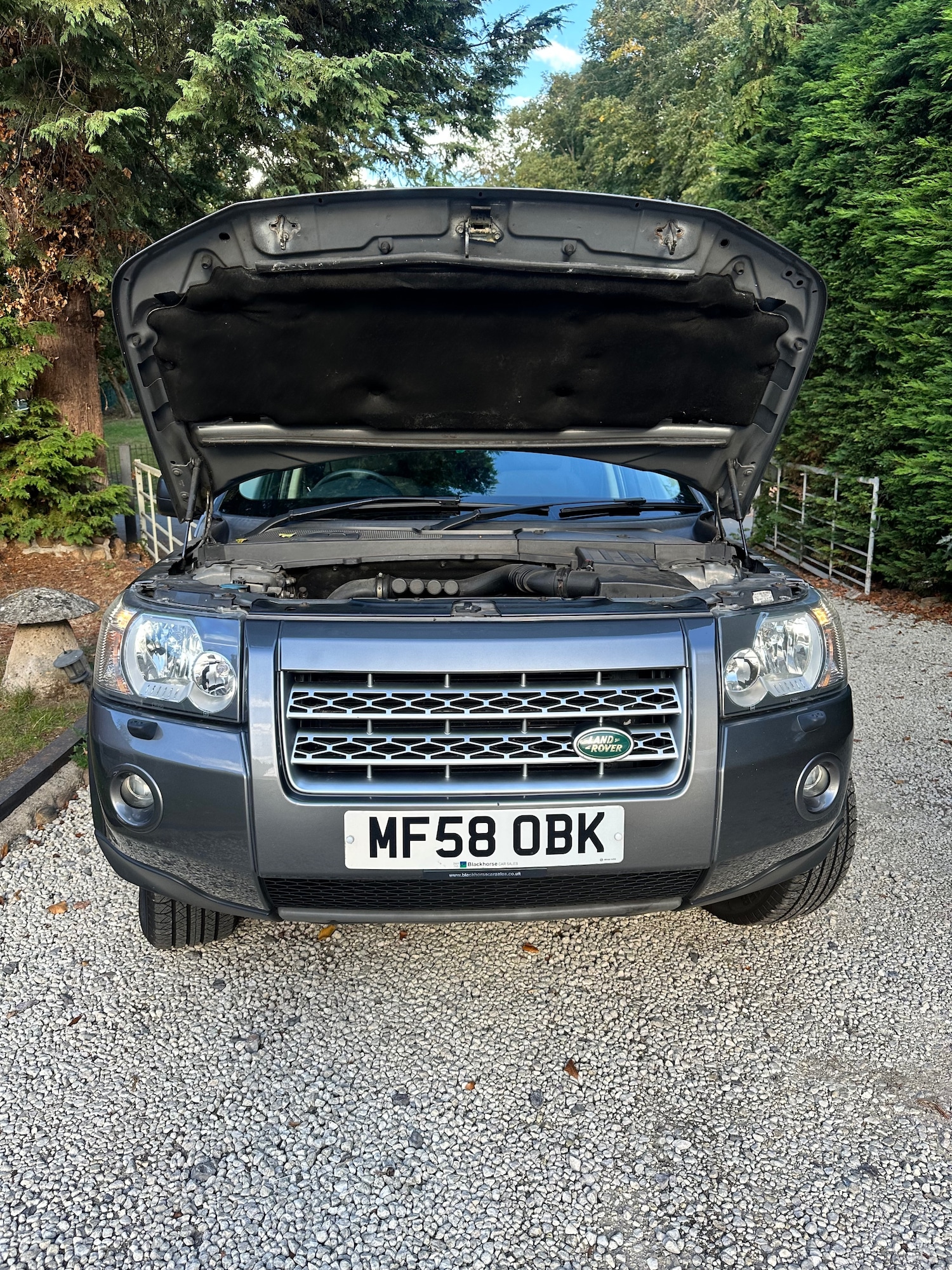Vehicle 43