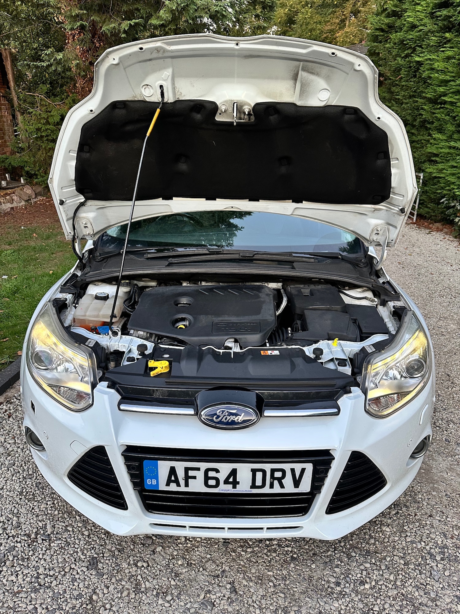 Vehicle 39