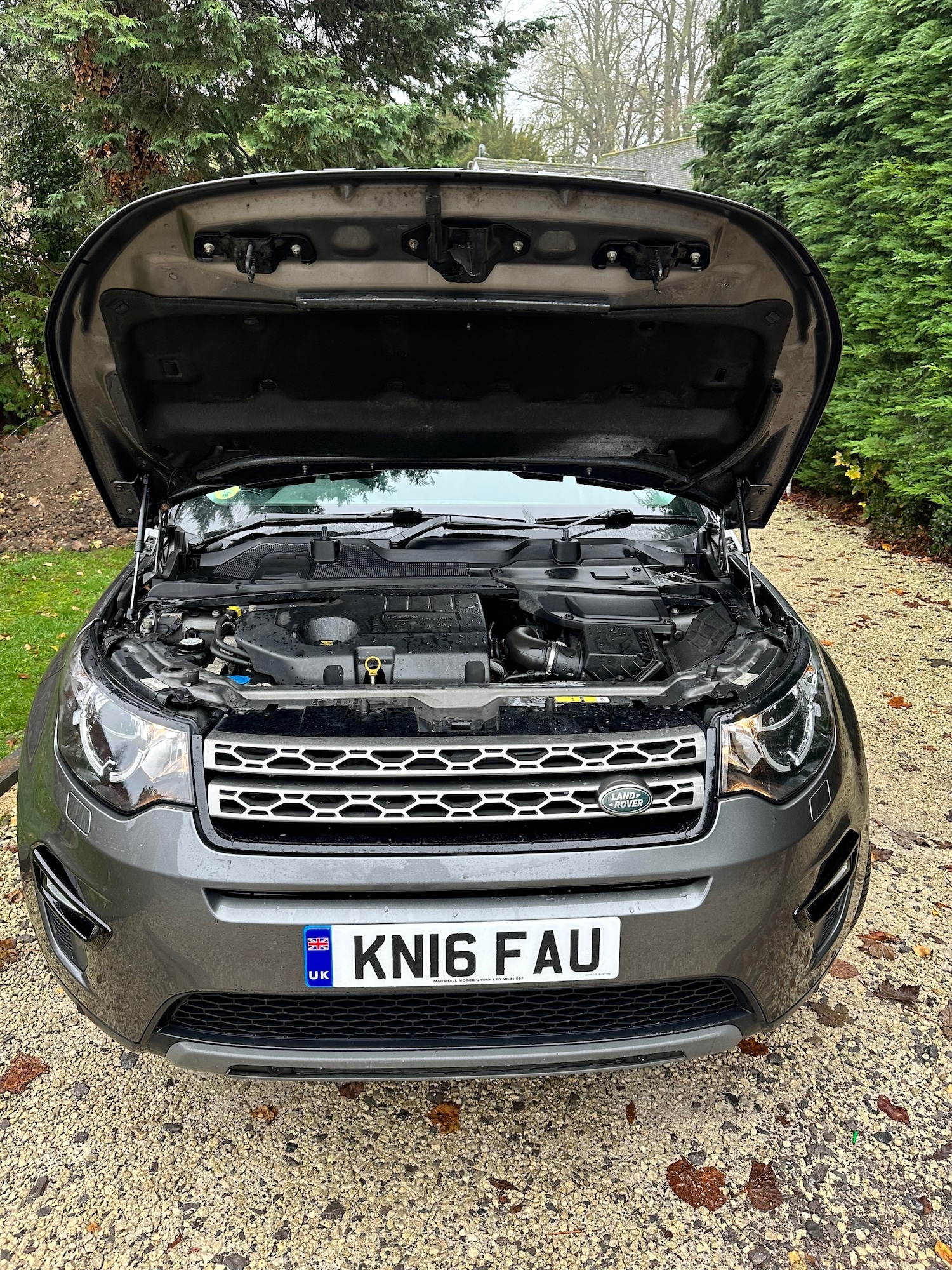 Used Land Rover Discovery Sport 2016 for sale - 76568701: Photo 41