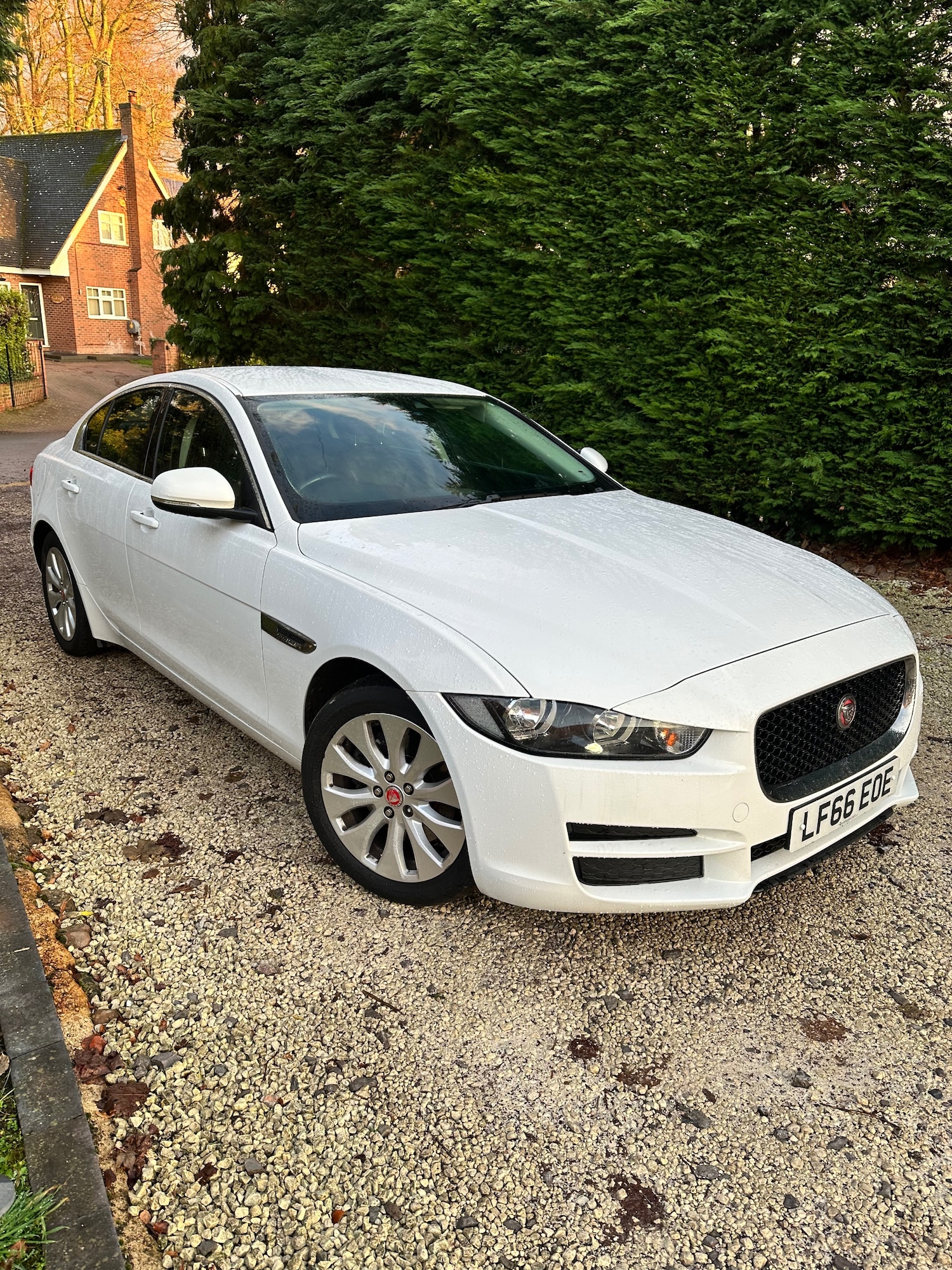 Used Jaguar XE 2016 for sale - 76835775: Photo 2