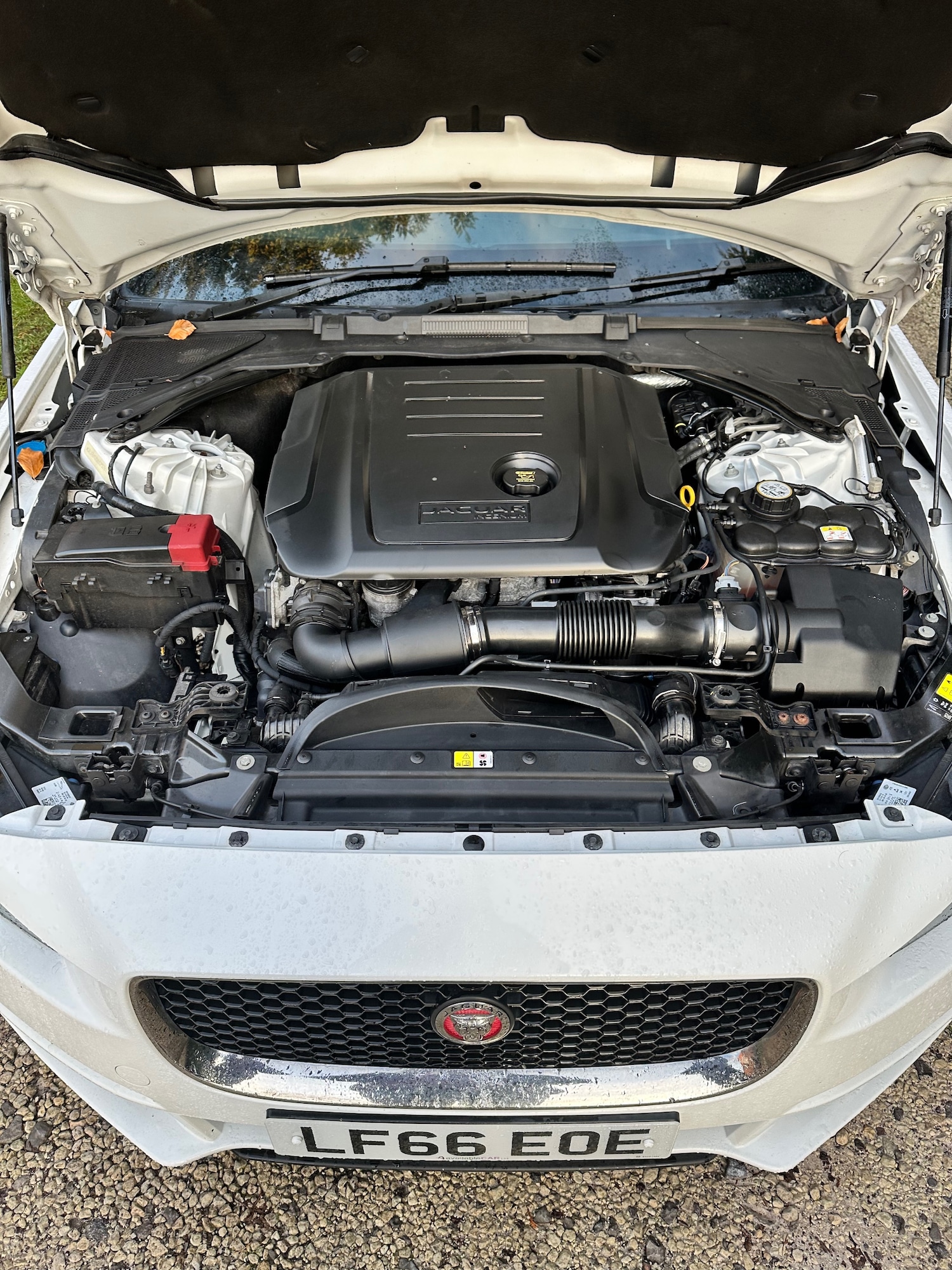 Used Jaguar XE 2016 for sale - 76835775: Photo 29