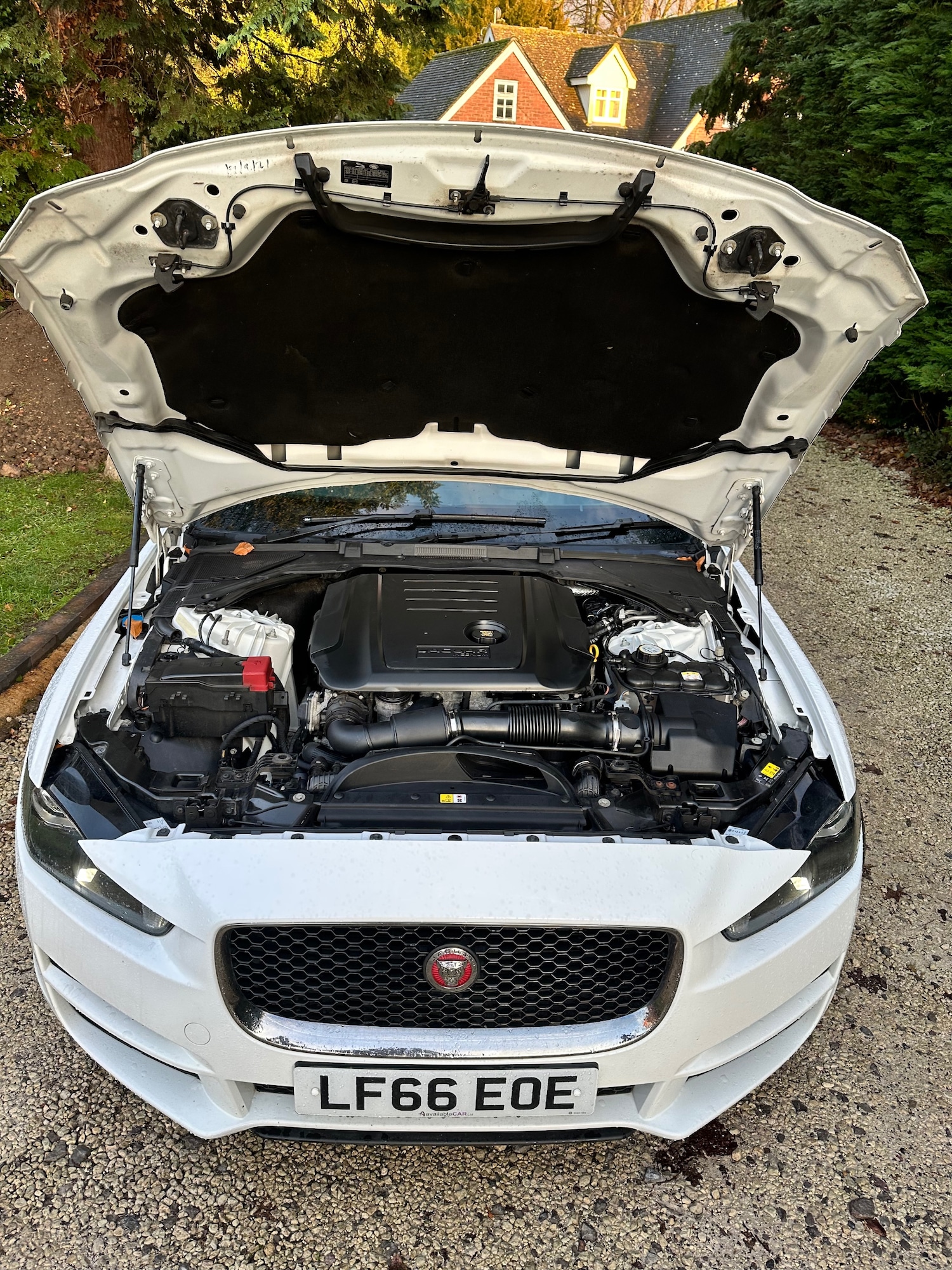 Used Jaguar XE 2016 for sale - 76835775: Photo 30