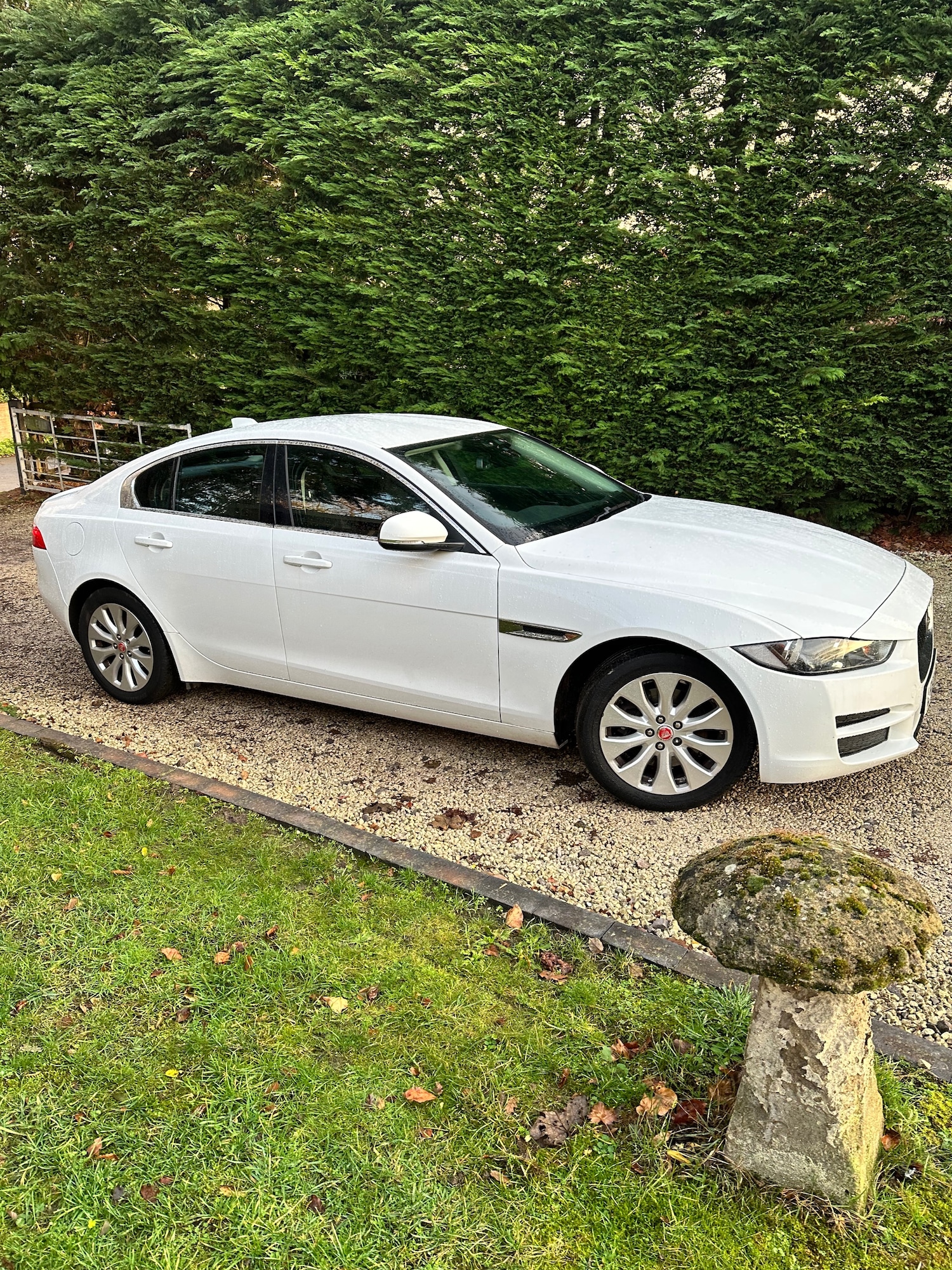 Used Jaguar XE 2016 for sale - 76835775: Photo 4