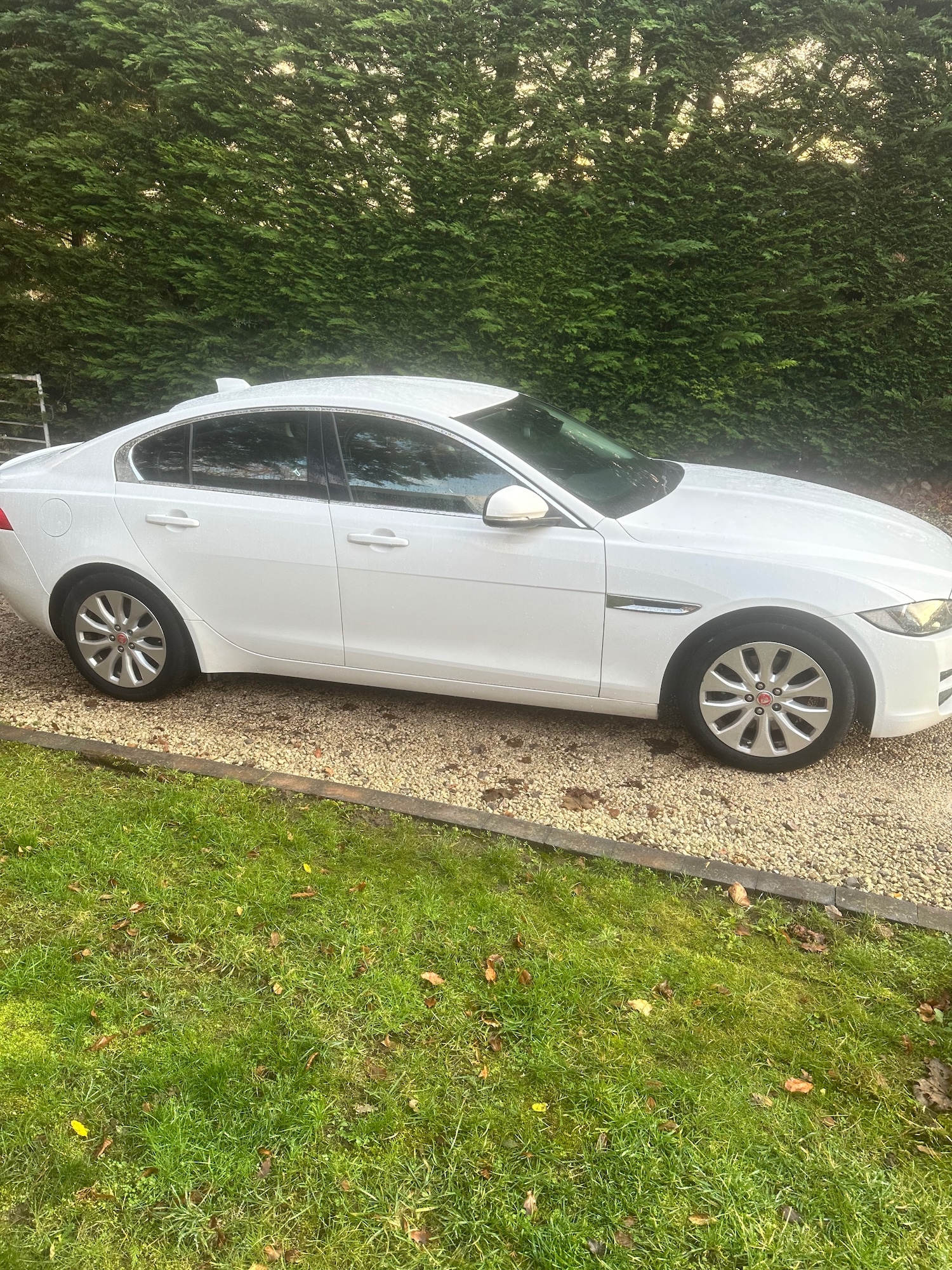 Used Jaguar XE 2016 for sale - 76835775: Photo 5