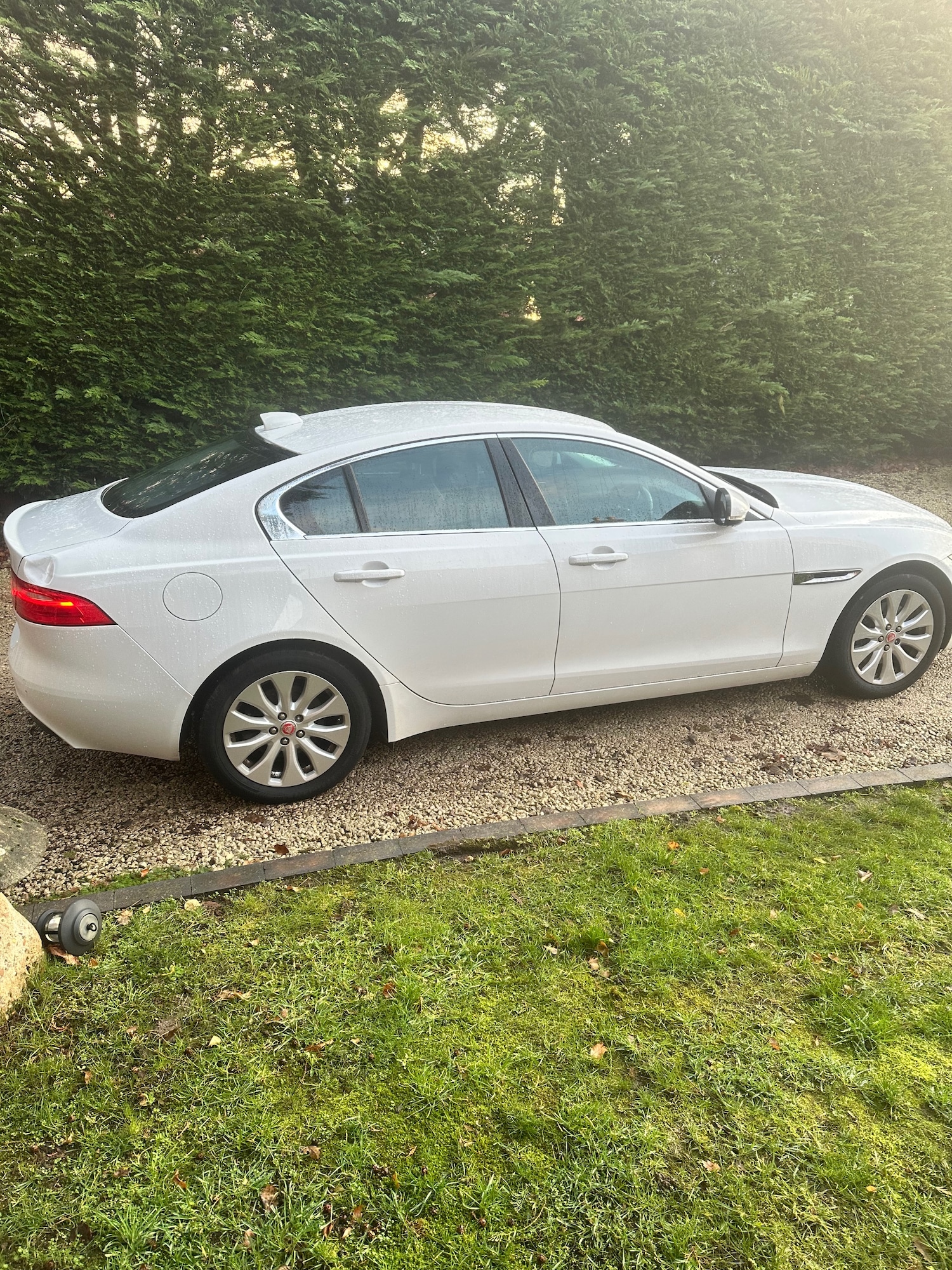 Used Jaguar XE 2016 for sale - 76835775: Photo 6