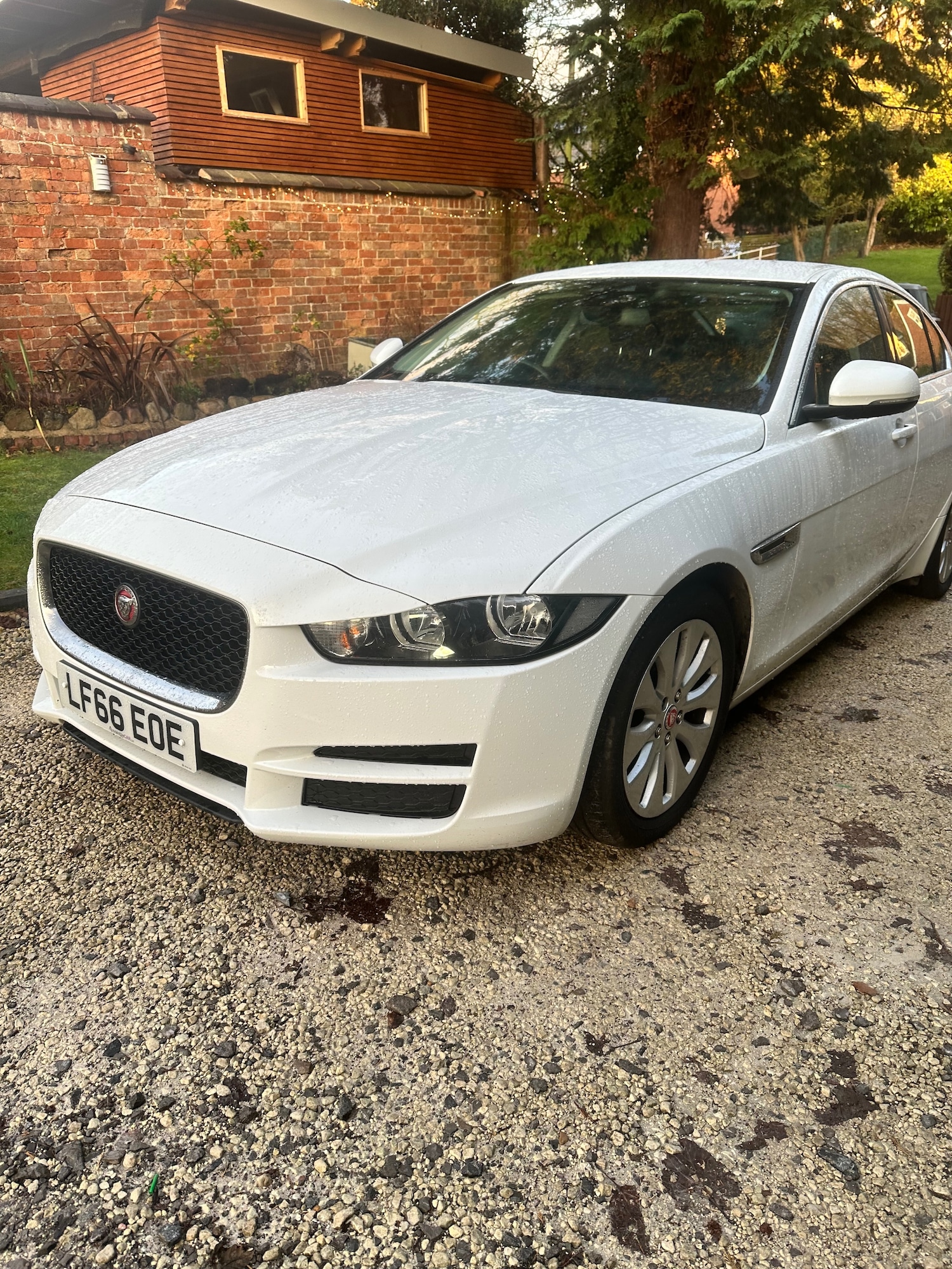 Used Jaguar XE 2016 for sale - 76835775: Photo 8