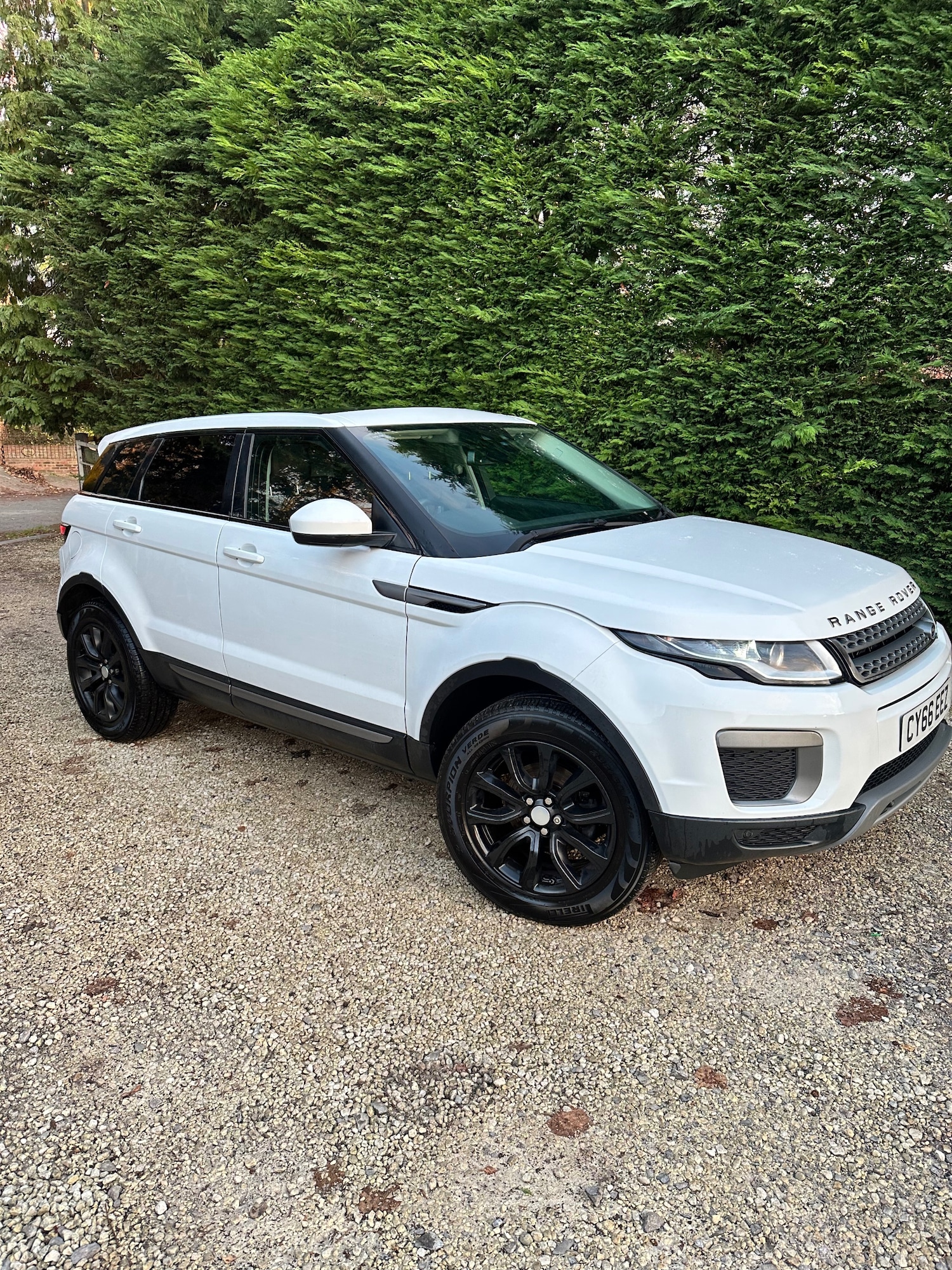 Used Land Rover Range Rover Evoque 2016 for sale - 76618389: Photo 3