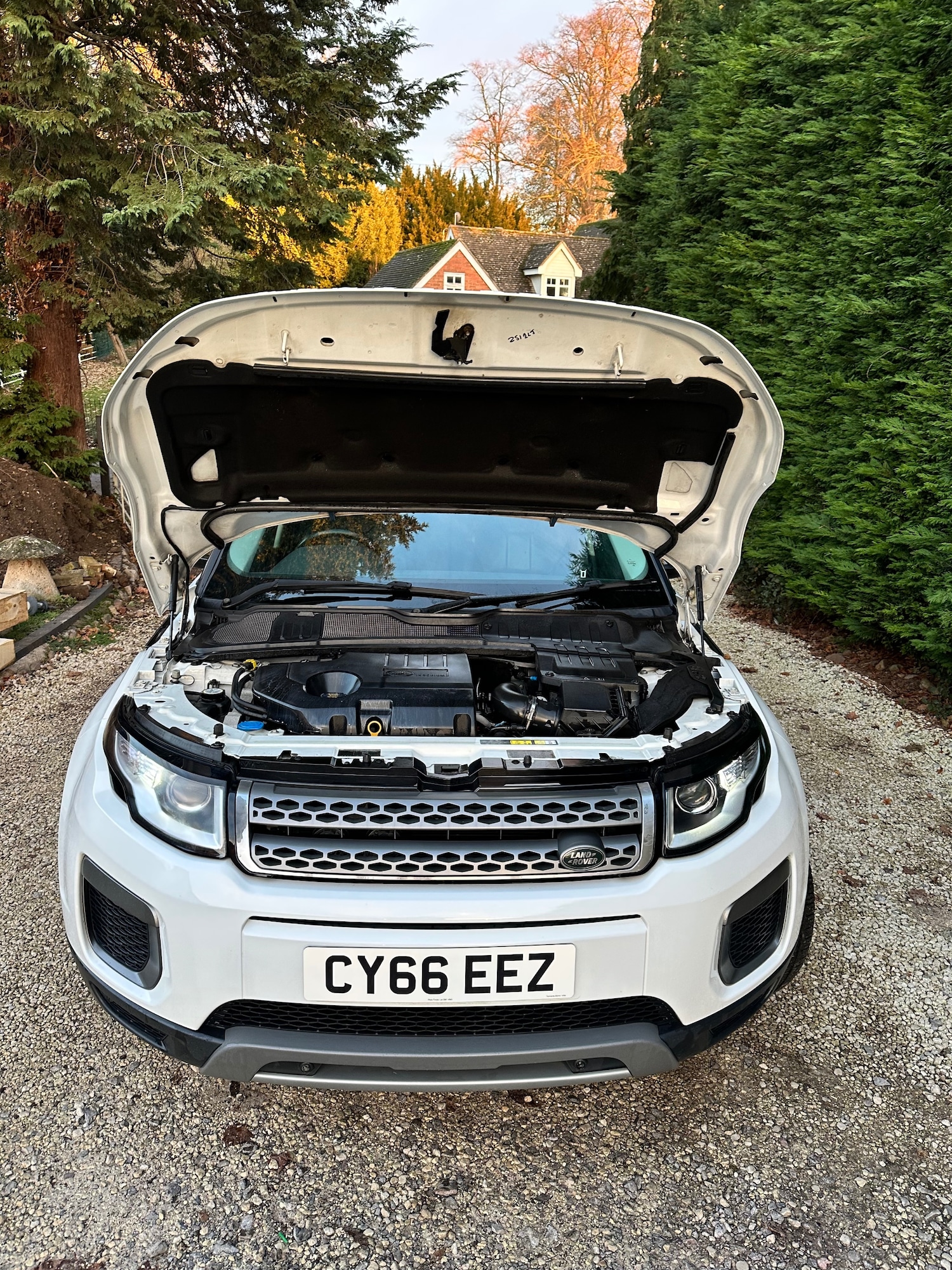Used Land Rover Range Rover Evoque 2016 for sale - 76618389: Photo 45