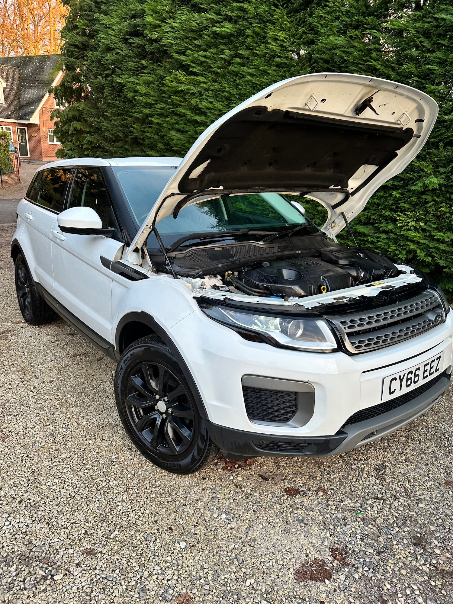 Used Land Rover Range Rover Evoque 2016 for sale - 76618389: Photo 46