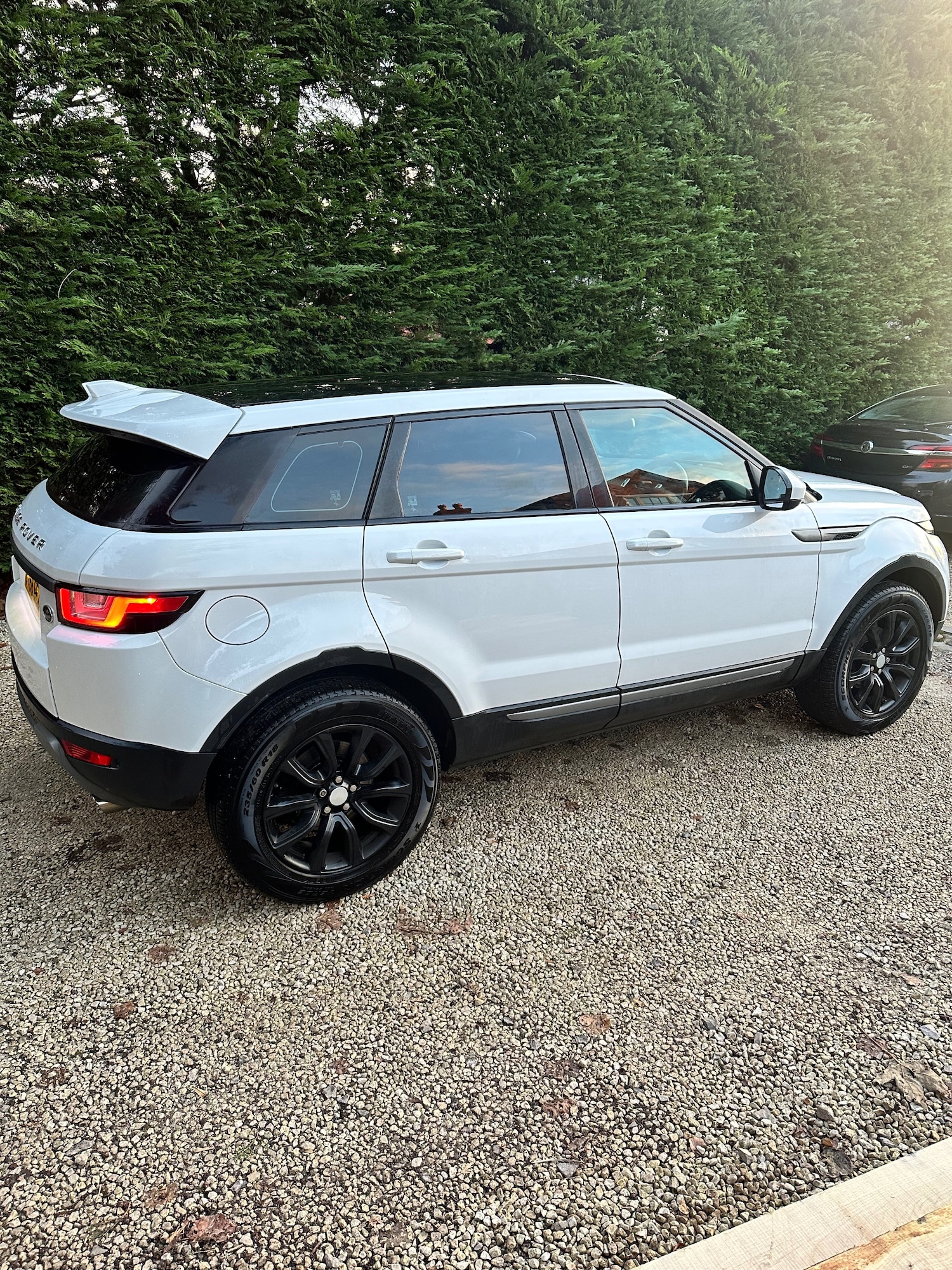 Used Land Rover Range Rover Evoque 2016 for sale - 76618389: Photo 5