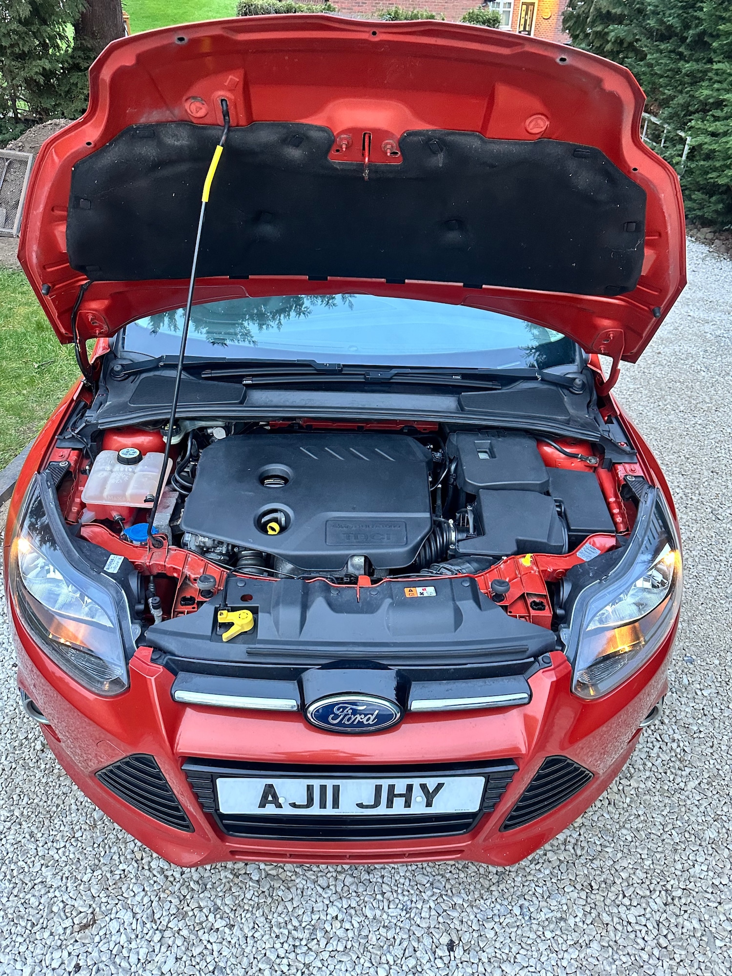 Used Ford Focus 2011 for sale - 78105646: Photo 53