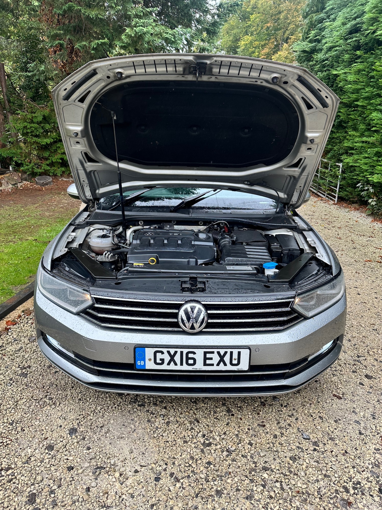 Used Volkswagen Passat 2016 for sale - 76143143: Photo 42