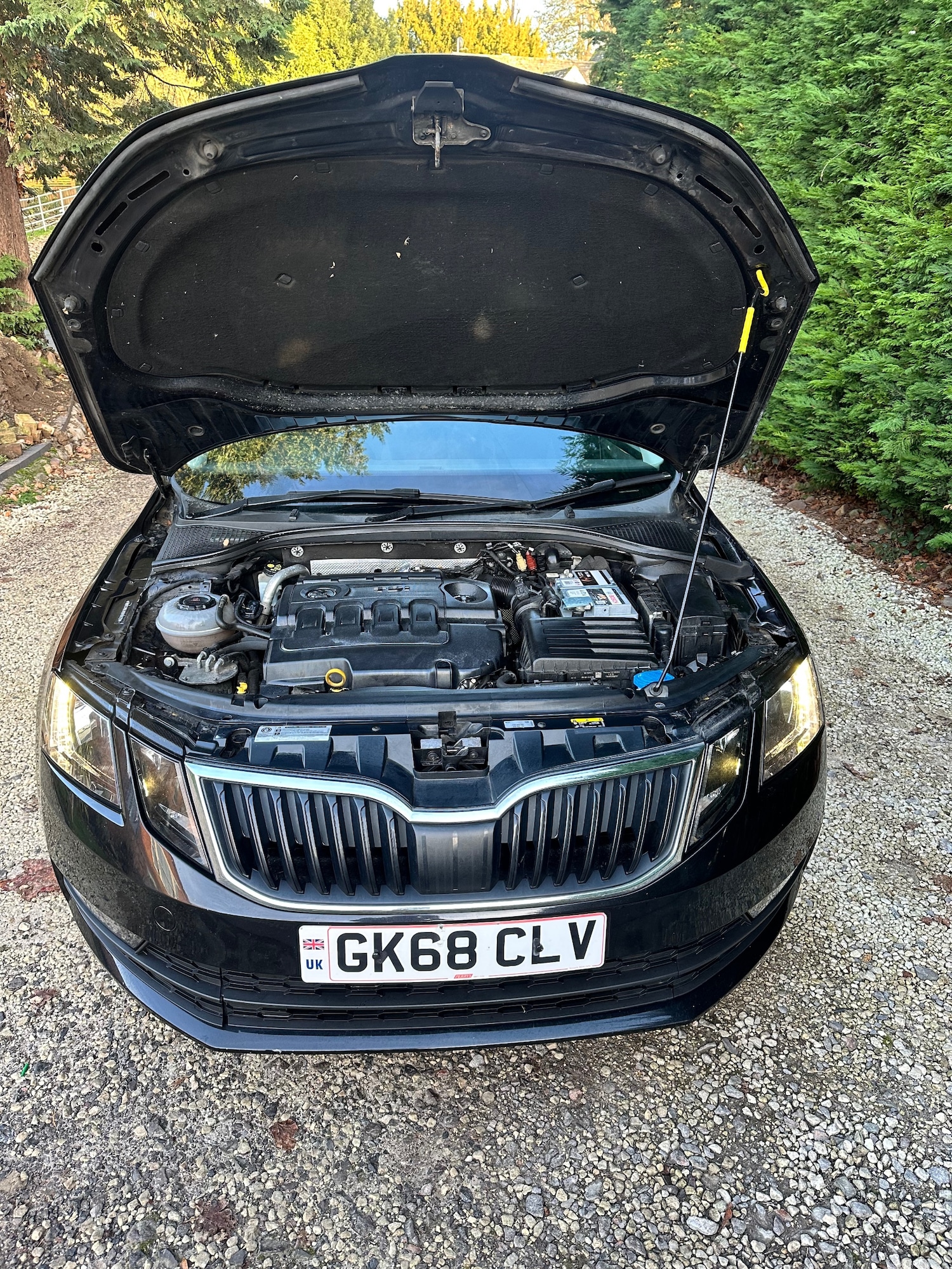 Used Skoda Octavia 2018 for sale - 76652914: Photo 30