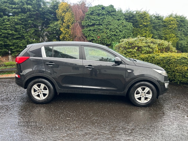 Used Kia Sportage 2015 for sale - 76621321: Photo 5