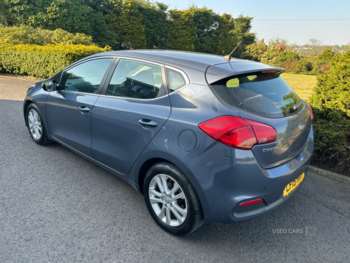 Used Kia Ceed 2015 for sale - 74272335: Photo