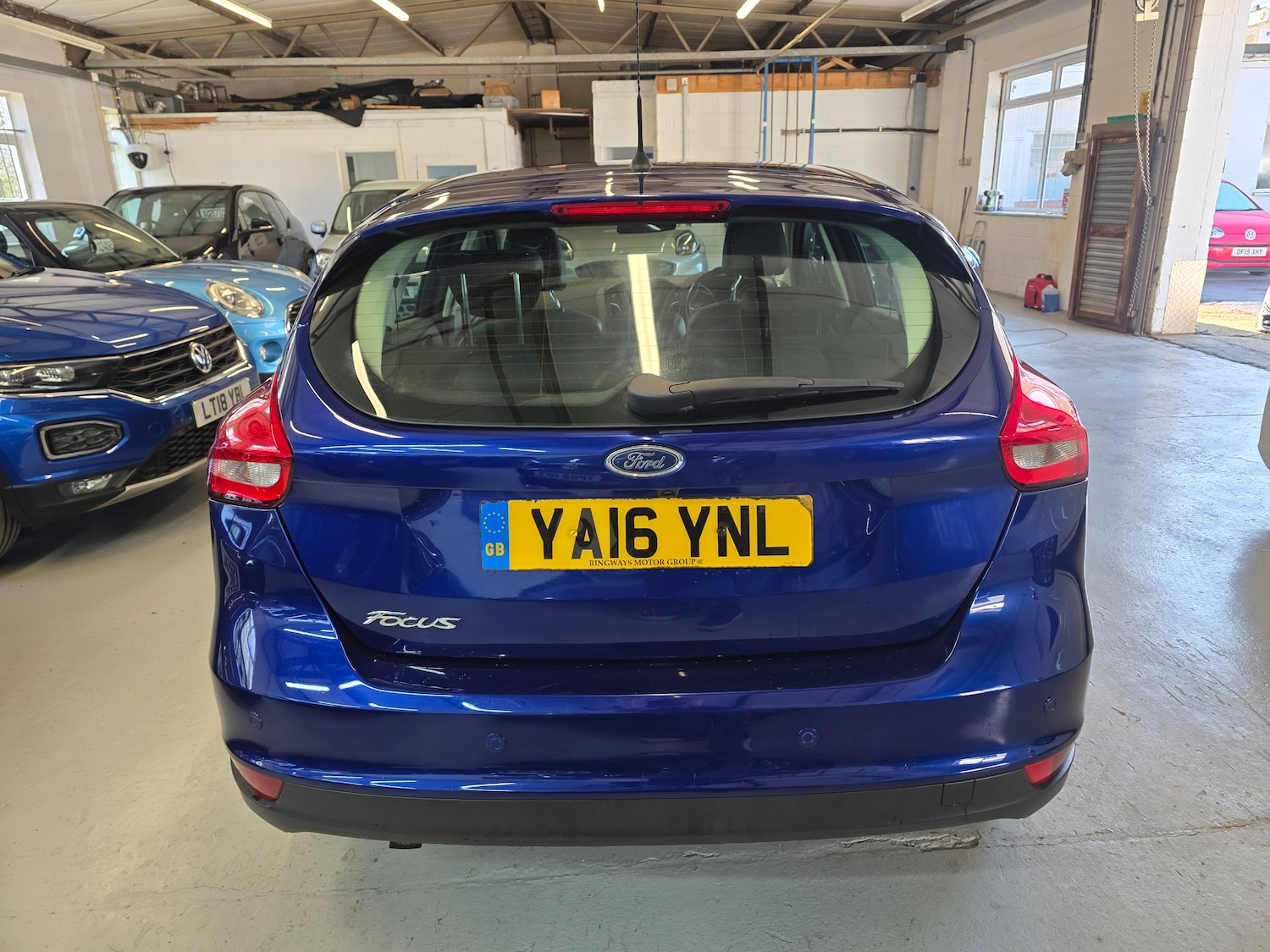 Used Ford Focus 2016 for sale - 77942191: Photo 17