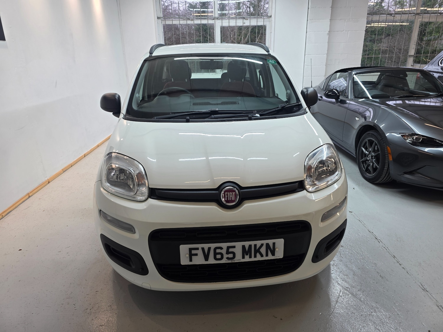 Used Fiat Panda 2016 for sale - 77002018: Photo 15