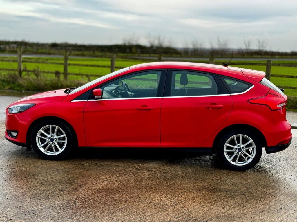 Used Ford Focus 2015 for sale - 76841219: Photo 17