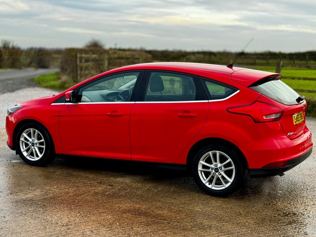 Used Ford Focus 2015 for sale - 76841219: Photo 19